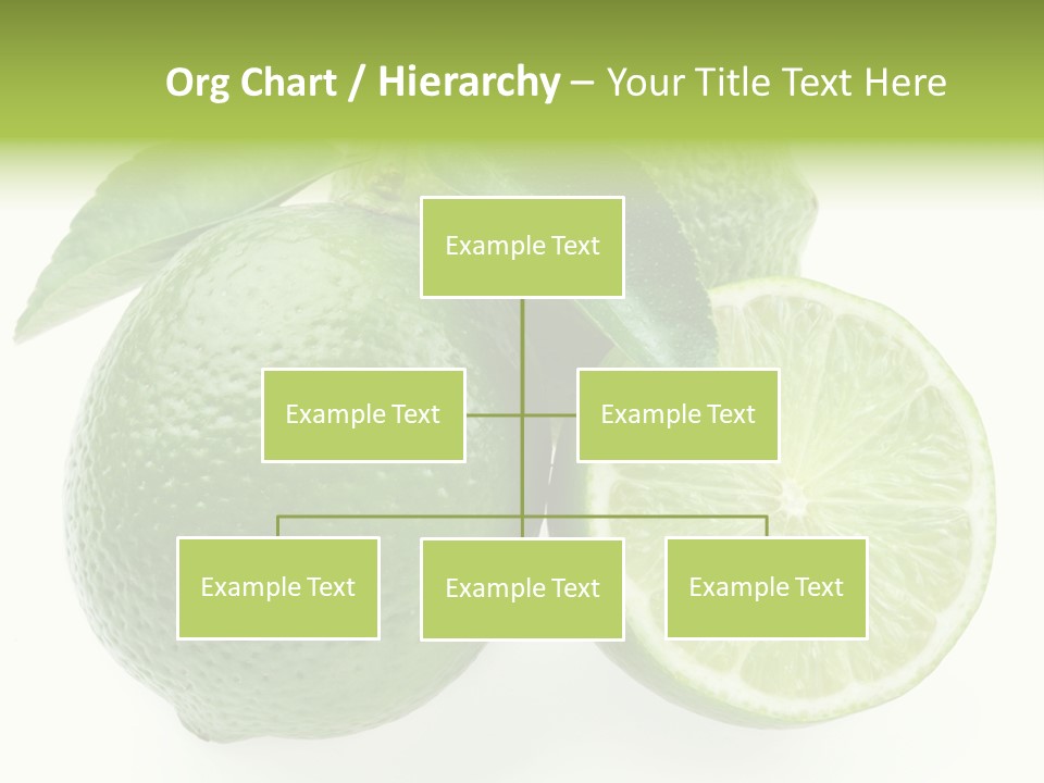 Close Up Lime Health PowerPoint Template