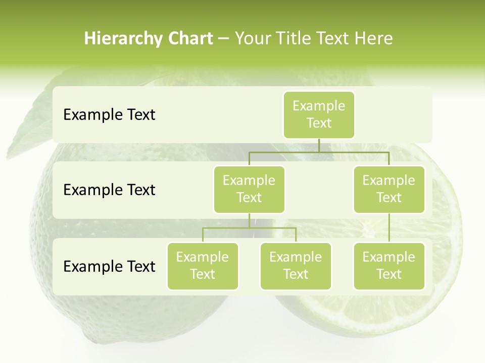 Close Up Lime Health PowerPoint Template