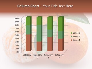 Green Dessert Mandarin PowerPoint Template