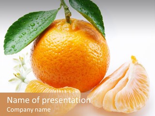 Section Cut Ingredient PowerPoint Template