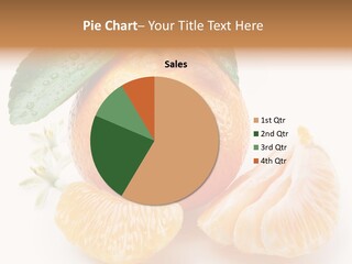 Section Cut Ingredient PowerPoint Template