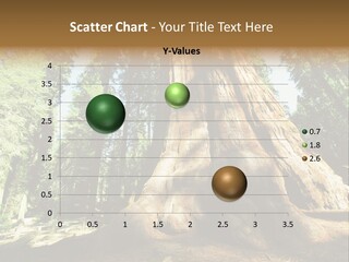 Plant Sequoia Tree PowerPoint Template