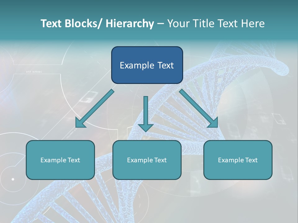 Imagination Chromosome Behaviour PowerPoint Template