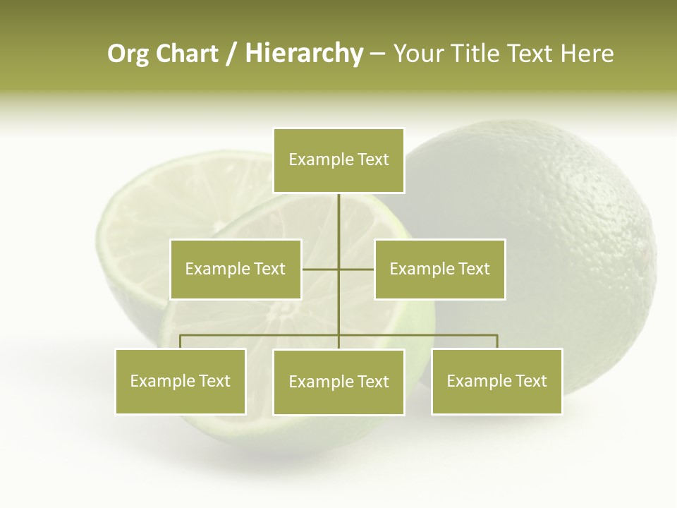 Over Bright Health PowerPoint Template