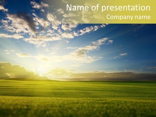 Bright Fresh Gold PowerPoint Template