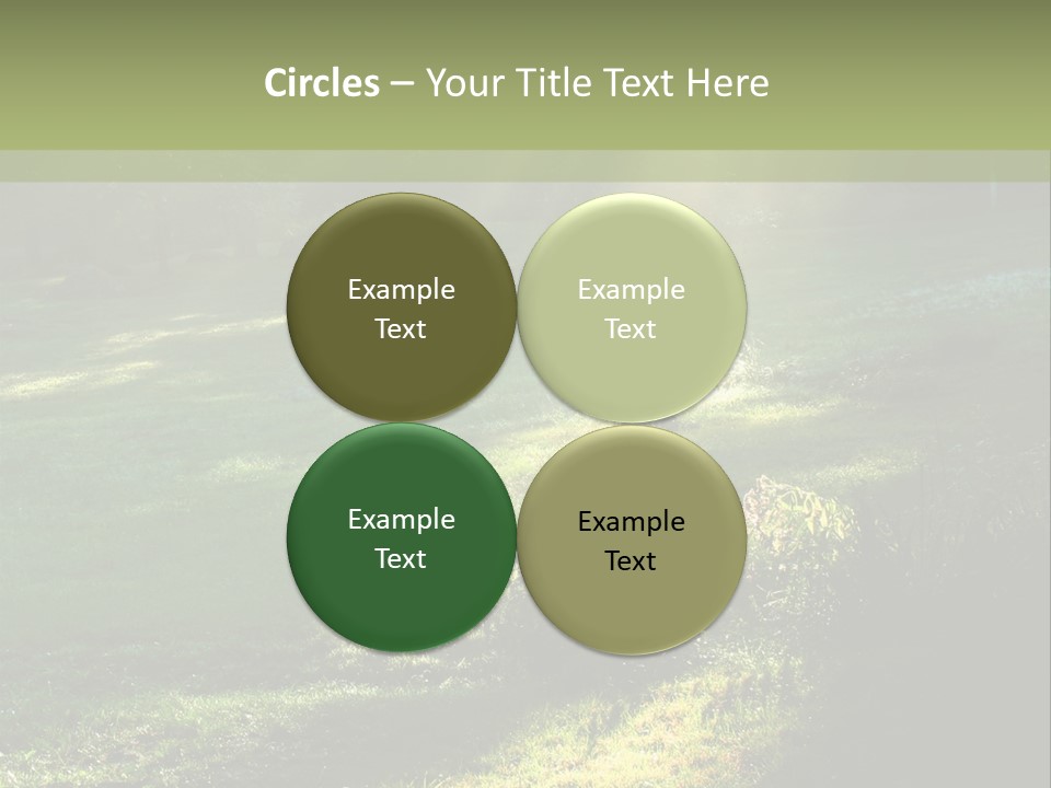 Forest Country Landscape PowerPoint Template