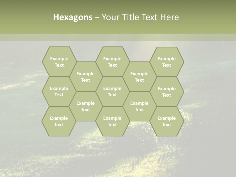 Forest Country Landscape PowerPoint Template