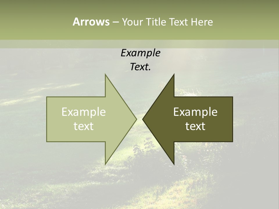 Forest Country Landscape PowerPoint Template