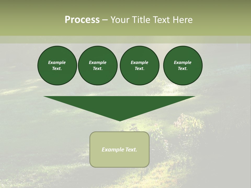 Forest Country Landscape PowerPoint Template