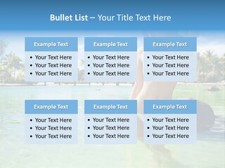 White Sky Bikini PowerPoint Template