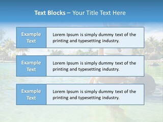 White Sky Bikini PowerPoint Template