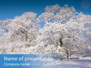 Beauty Cold Wintry PowerPoint Template