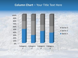 Beauty Cold Wintry PowerPoint Template