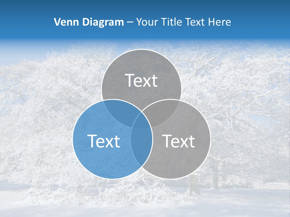 Beauty Cold Wintry PowerPoint Template