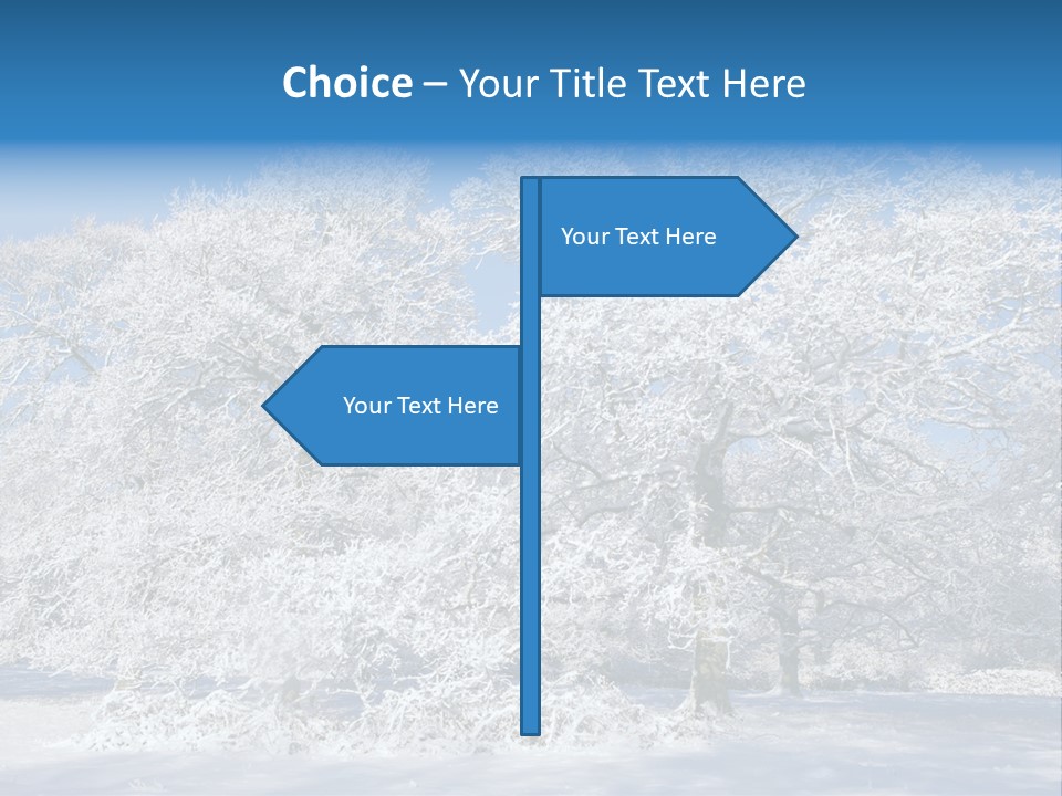 Beauty Cold Wintry PowerPoint Template