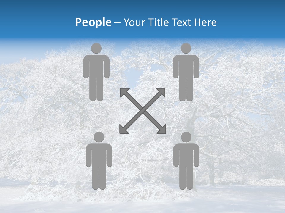 Beauty Cold Wintry PowerPoint Template