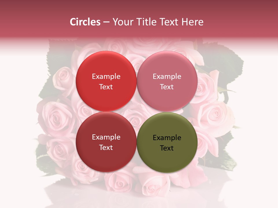 Single Beauty Lot PowerPoint Template