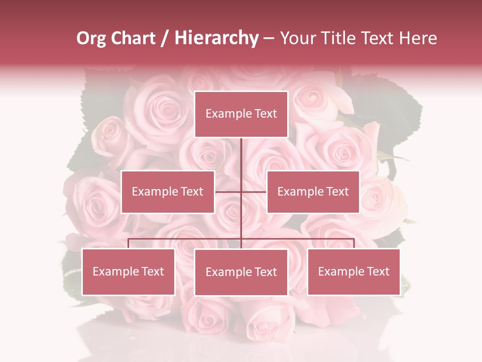 Single Beauty Lot PowerPoint Template