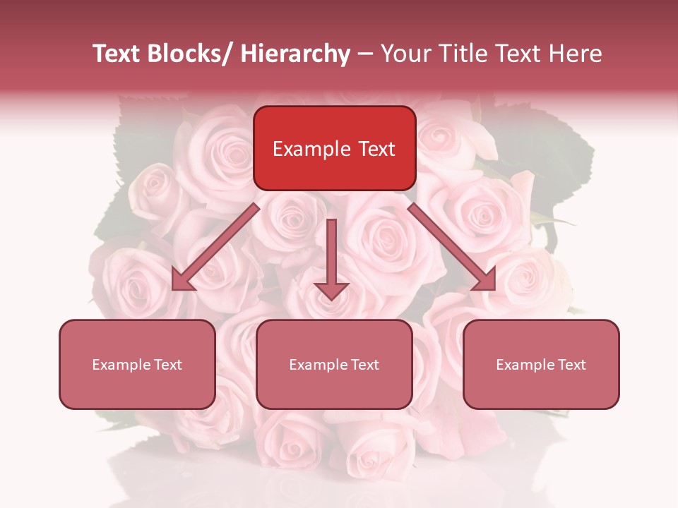 Single Beauty Lot PowerPoint Template