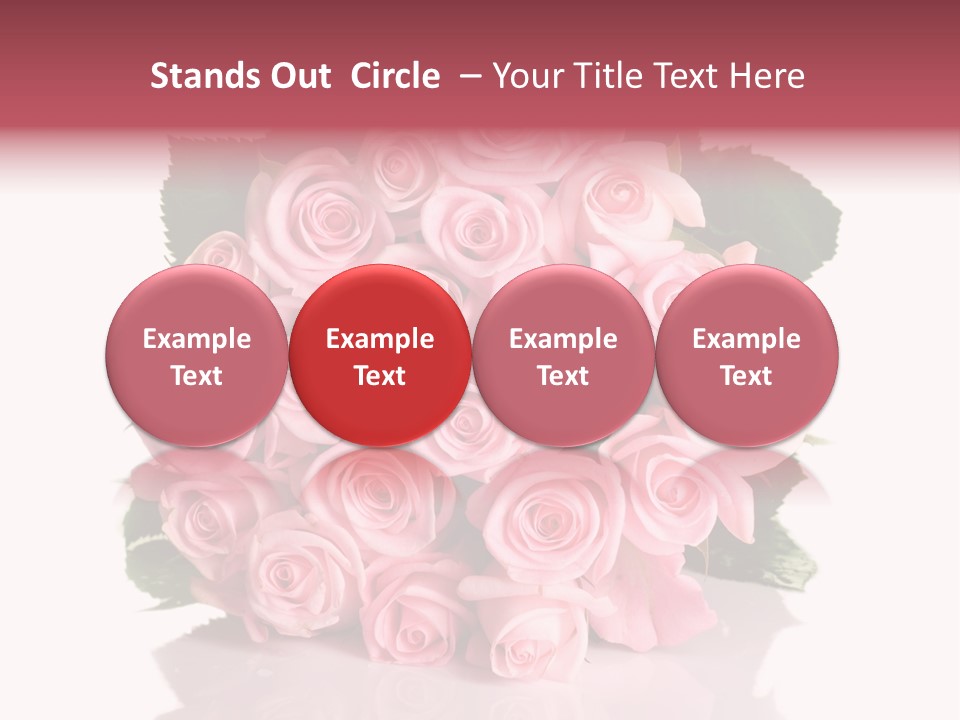 Single Beauty Lot PowerPoint Template