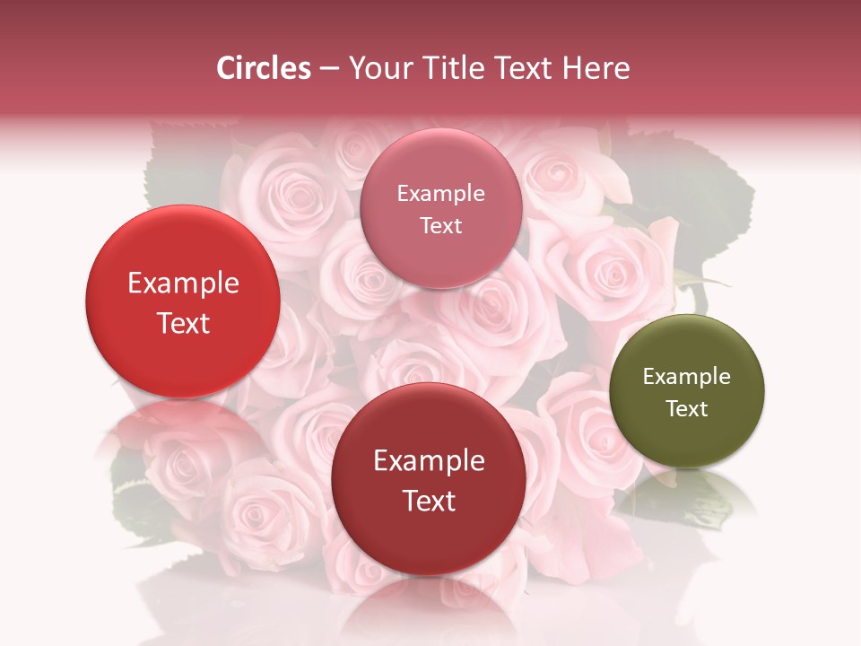 Single Beauty Lot PowerPoint Template