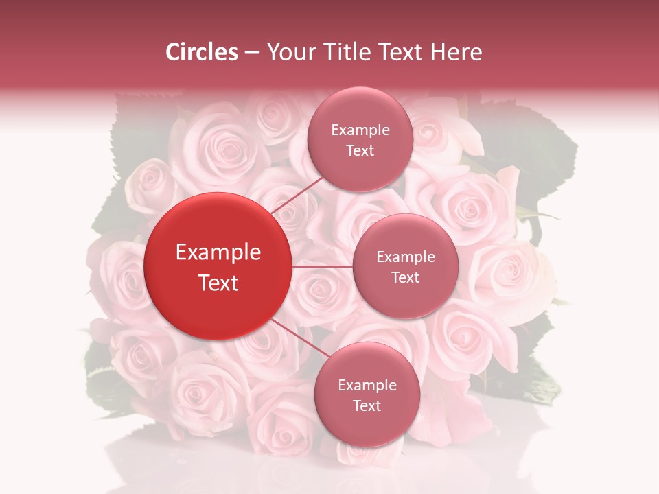 Single Beauty Lot PowerPoint Template