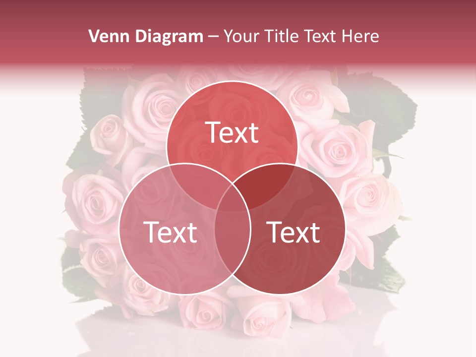 Single Beauty Lot PowerPoint Template