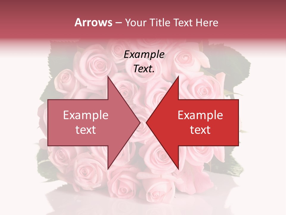 Single Beauty Lot PowerPoint Template