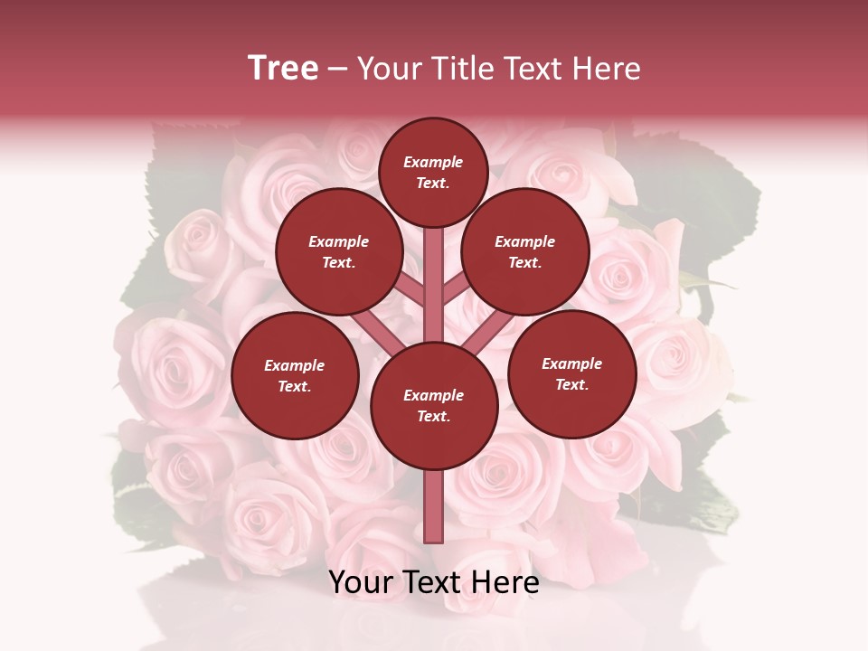 Single Beauty Lot PowerPoint Template