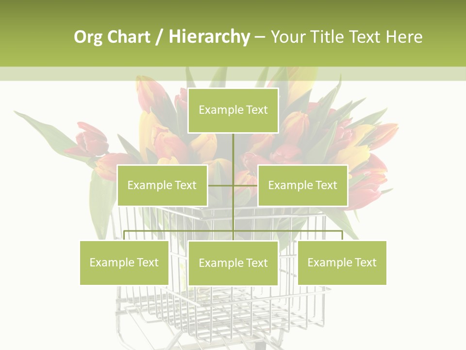 Holland Buying Bouquet PowerPoint Template