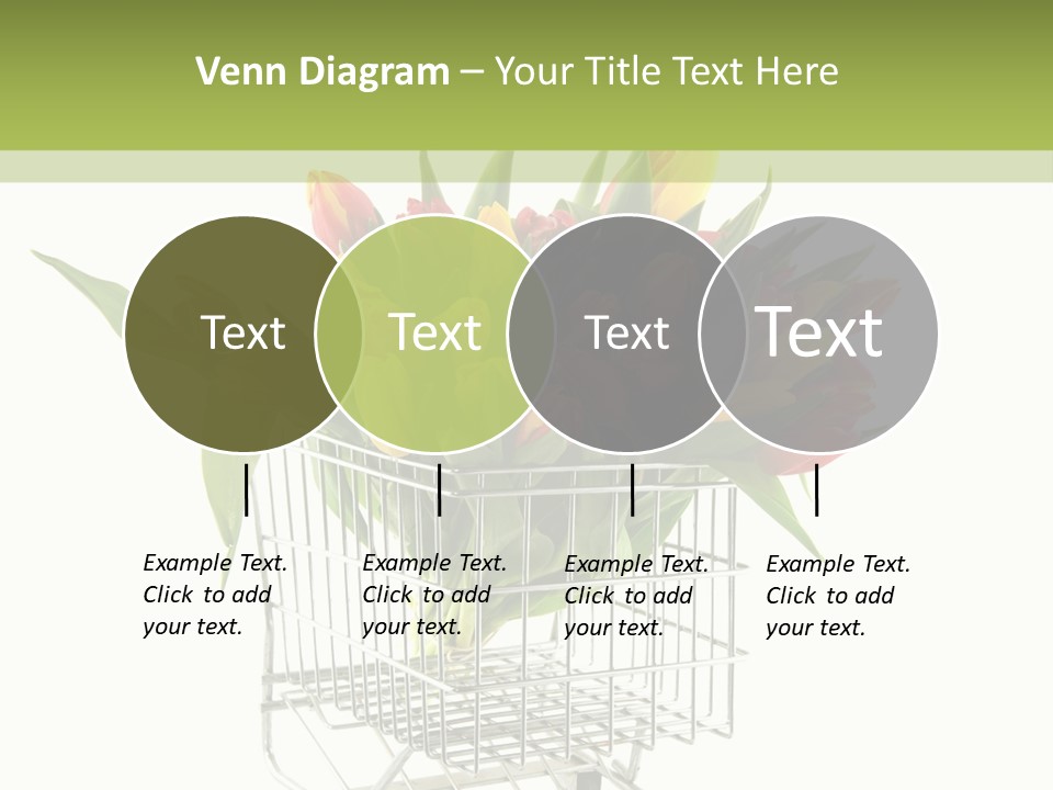 Holland Buying Bouquet PowerPoint Template