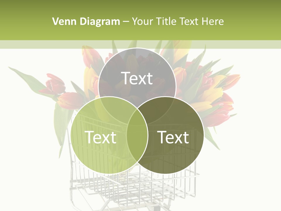 Holland Buying Bouquet PowerPoint Template