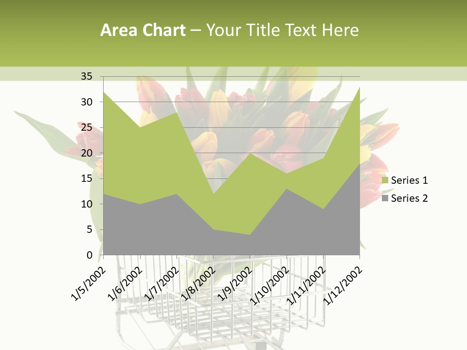 Holland Buying Bouquet PowerPoint Template