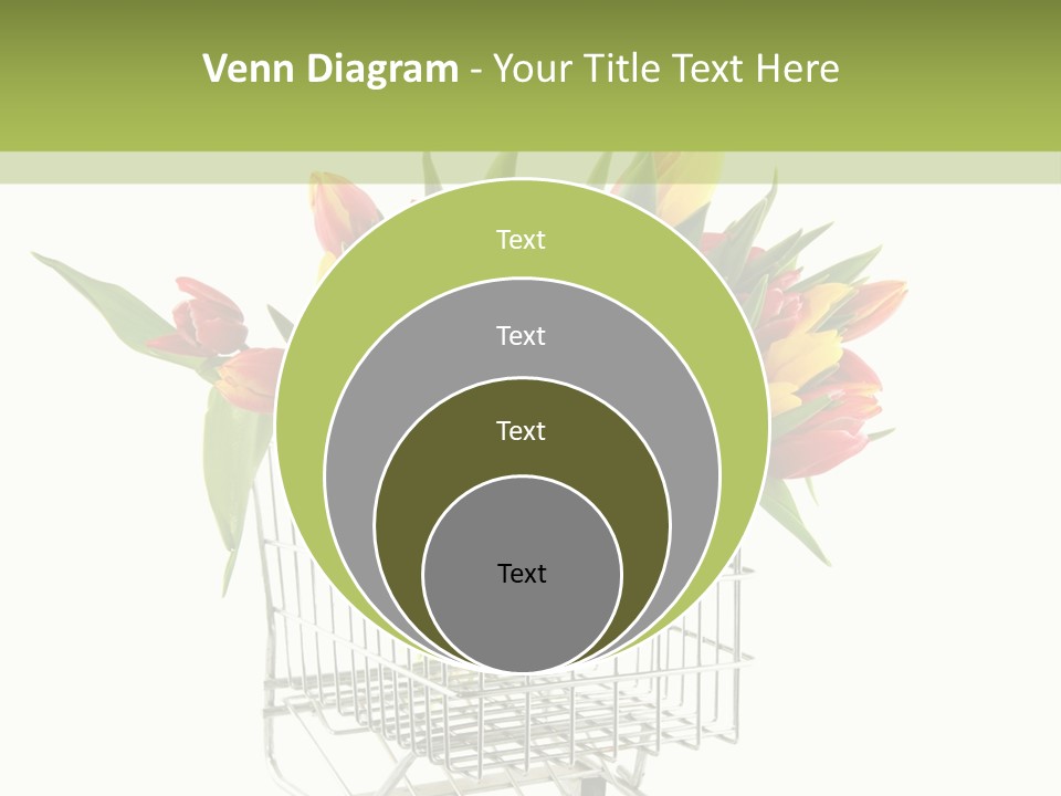 Holland Buying Bouquet PowerPoint Template