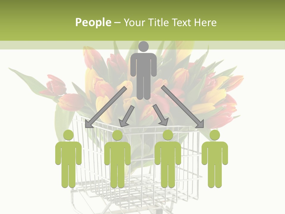 Holland Buying Bouquet PowerPoint Template