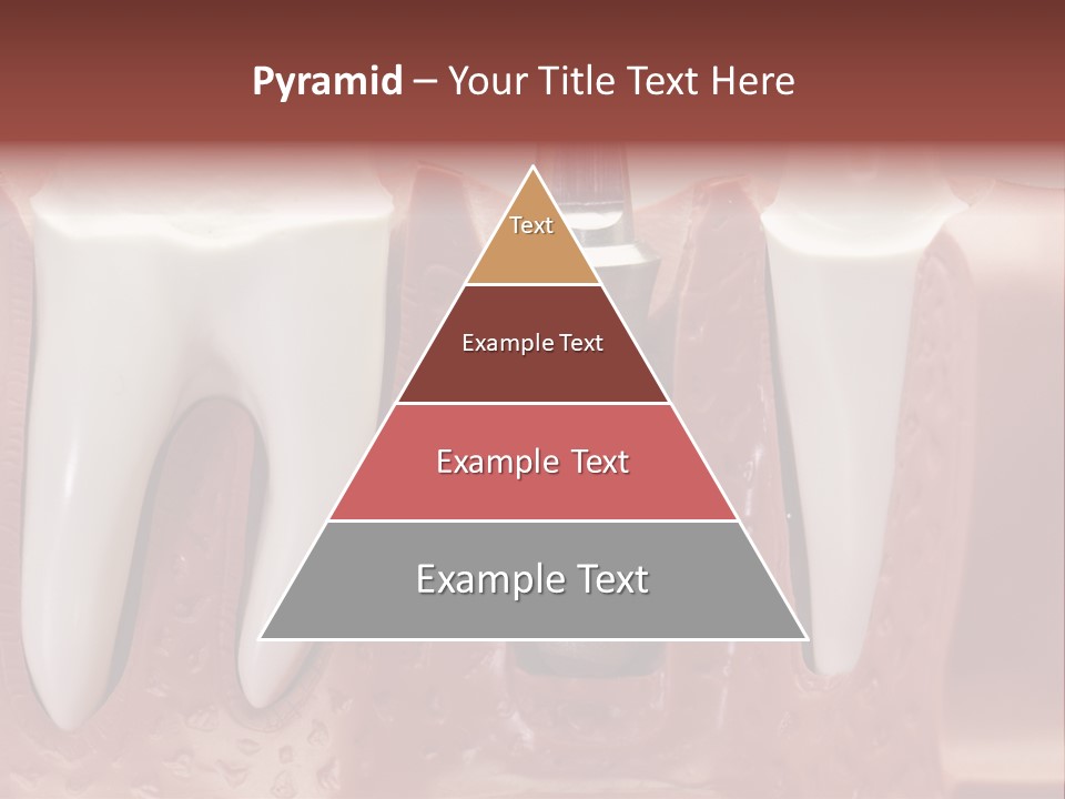 Close Up Dentist Denture PowerPoint Template
