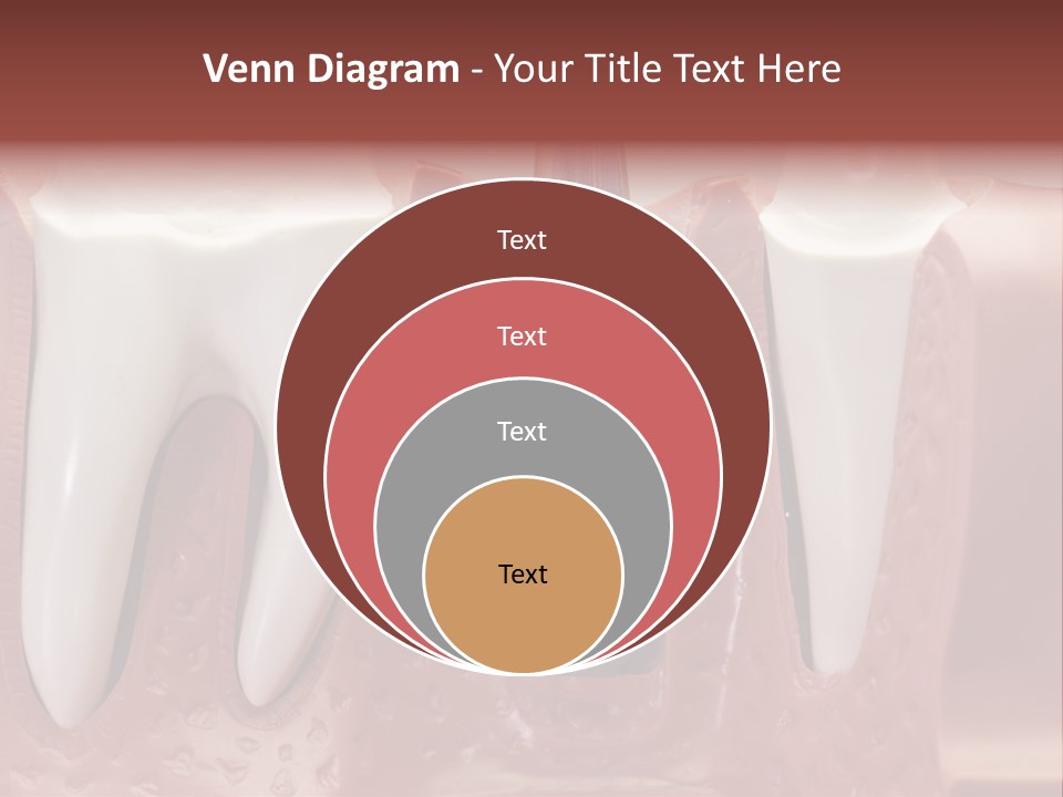 Close Up Dentist Denture PowerPoint Template