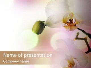 Branch Fresh Petal PowerPoint Template