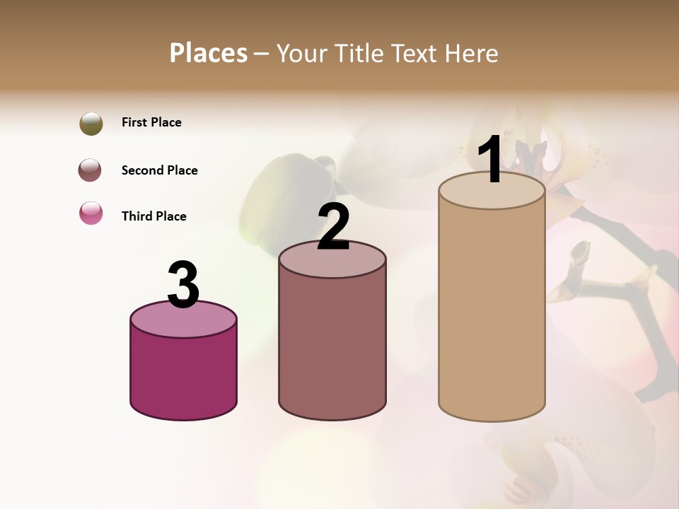 Branch Fresh Petal PowerPoint Template