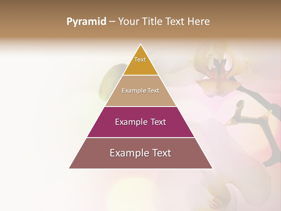 Branch Fresh Petal PowerPoint Template