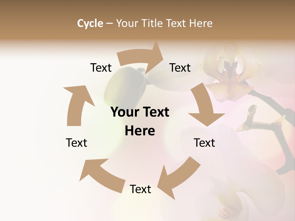 Branch Fresh Petal PowerPoint Template