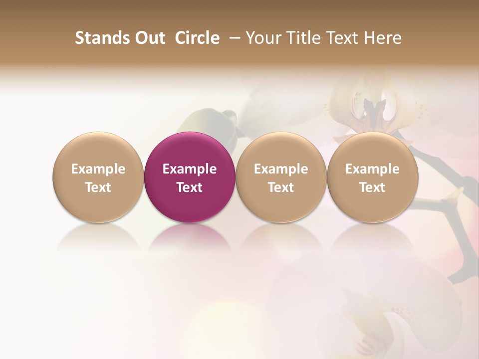 Branch Fresh Petal PowerPoint Template