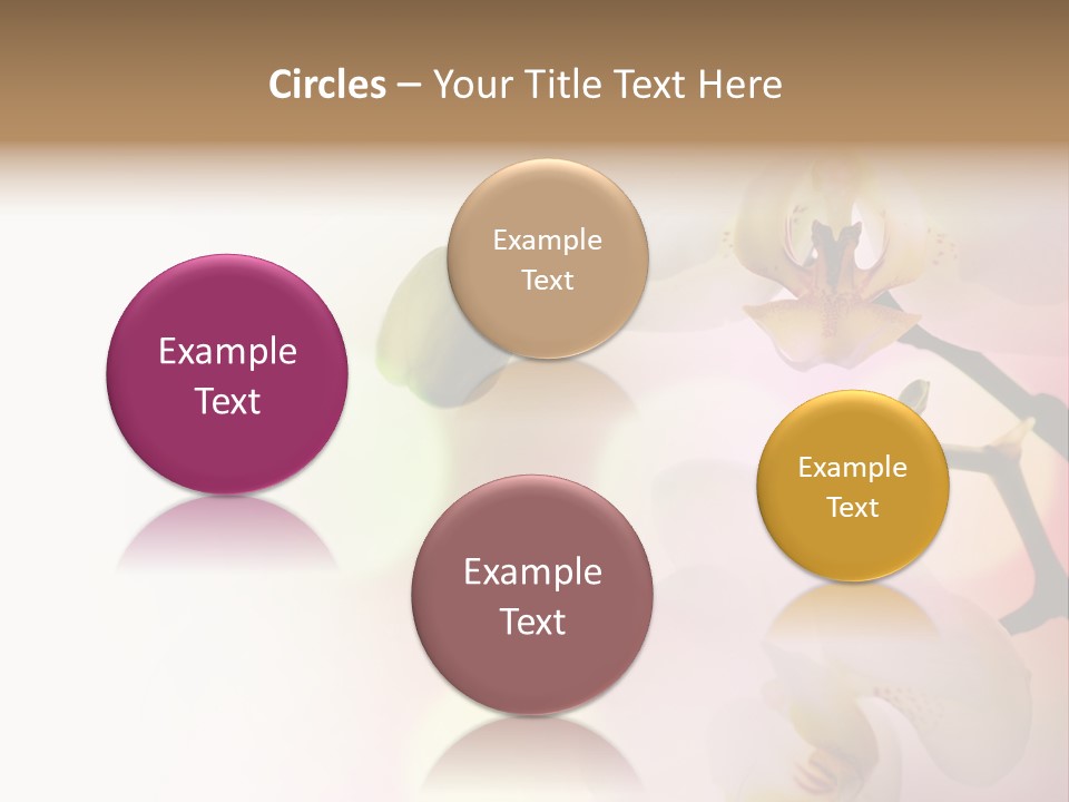 Branch Fresh Petal PowerPoint Template