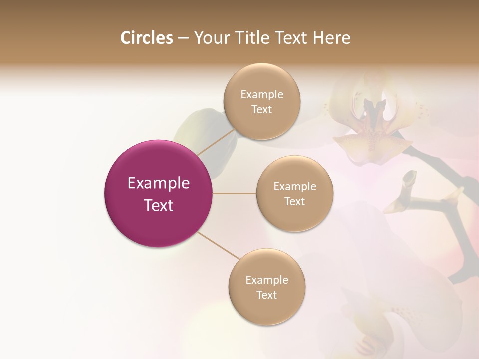 Branch Fresh Petal PowerPoint Template