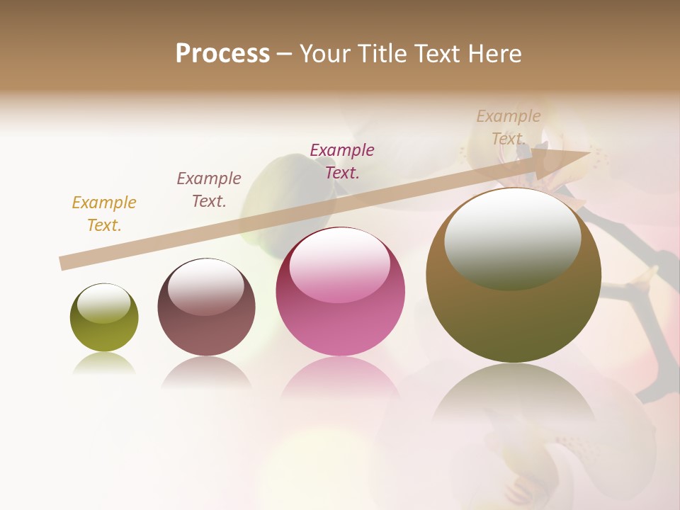 Branch Fresh Petal PowerPoint Template