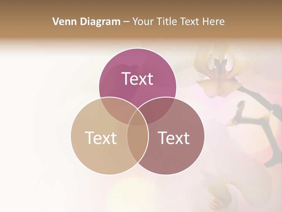 Branch Fresh Petal PowerPoint Template