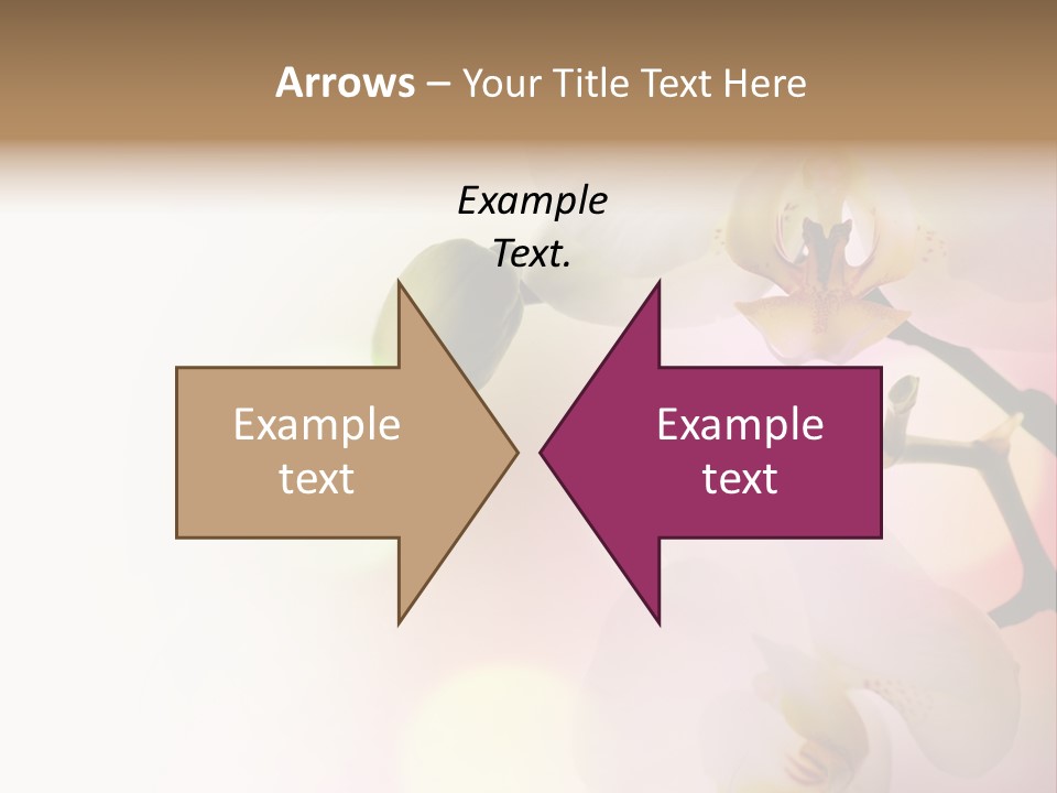 Branch Fresh Petal PowerPoint Template