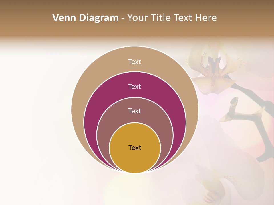 Branch Fresh Petal PowerPoint Template