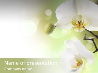 Beautiful Decorative Stem PowerPoint Template