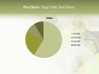 Beautiful Decorative Stem PowerPoint Template